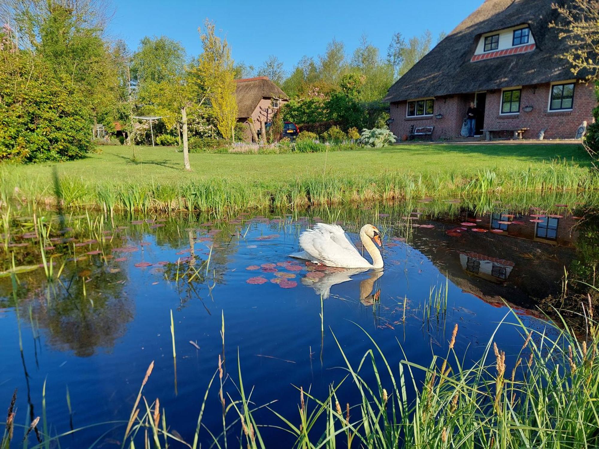 Giethoorn Lodge 외부 사진